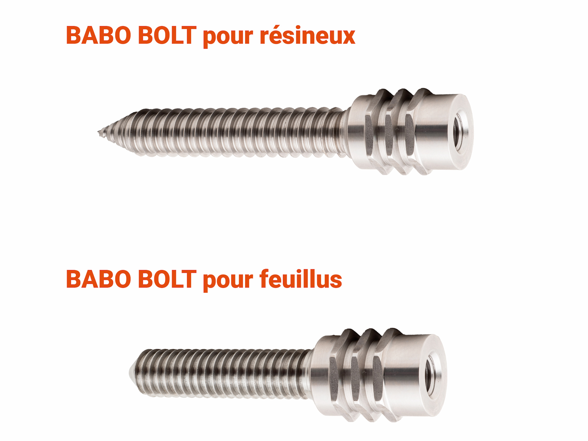 Systèmes de fixation aux arbres