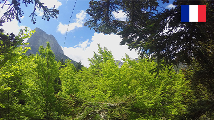 PARCOURS AVENTURE TRIEVES