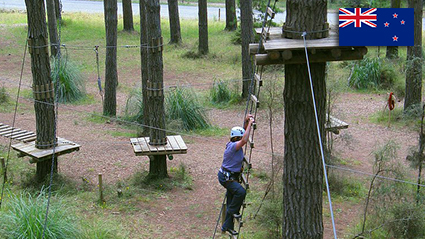 TREE ADVENTURES